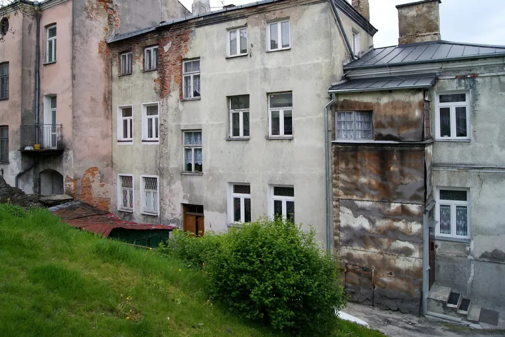 Pleśń na ścianie – przyczyny problemu